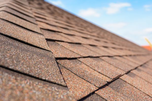 Patio Roof Installation Service