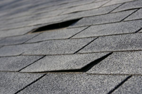 Shingle Replacement Service