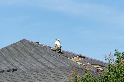 Expert Asphalt Roof Repair