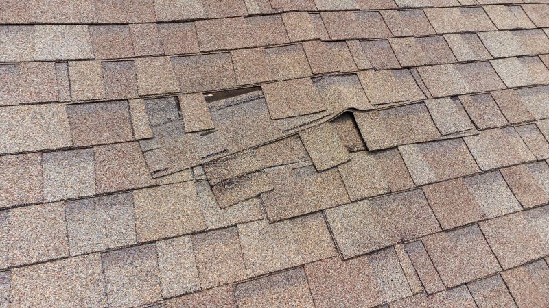 Roof Inspection and Repair