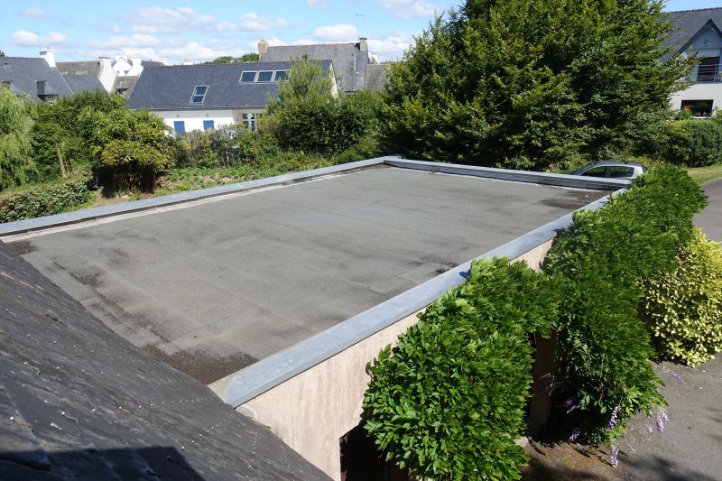 Spring Roofing Conditions